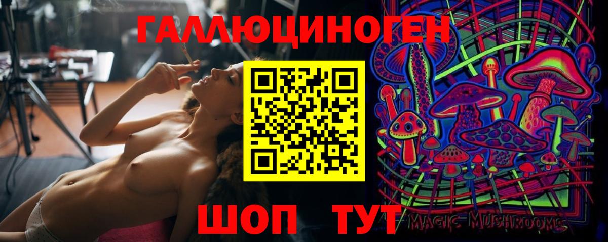 Мурино  Псилоцибиновые грибы ЛСД  Вход с VPN 